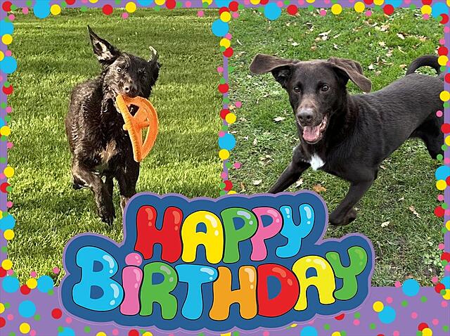 Klicke auf die Grafik für eine vergrößerte Ansicht

Name: Lara 120. Geburtstag.jpg
Ansichten: 0
Größe: 272,6 KB
ID: 1198818