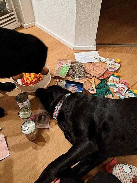 Klicke auf die Grafik für eine vergrößerte Ansicht  Name: c9111000-ca93-4e08-9c87-4080717d0d68.jpg Ansichten: 0 Größe: 127,0 KB ID: 1199043