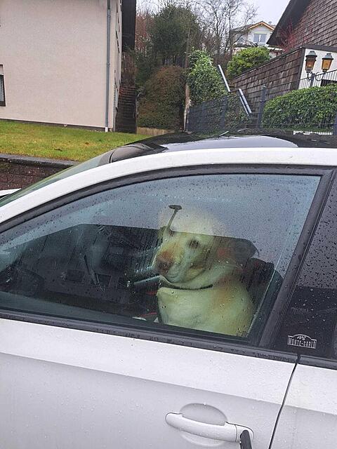 Klicke auf die Grafik für eine vergrößerte Ansicht  Name: af7af948-42ff-4fa5-a60e-29034ad3143c.jpg Ansichten: 0 Größe: 125,5 KB ID: 1199044