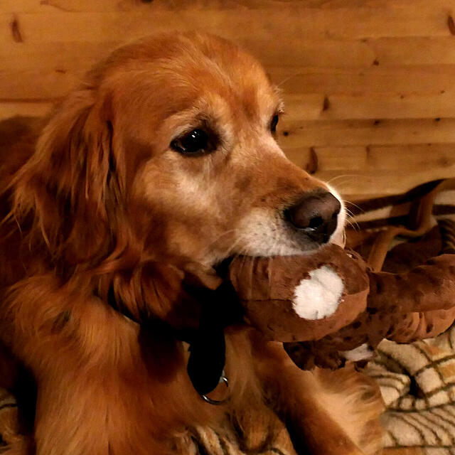 Klicke auf die Grafik für eine vergrößerte Ansicht

Name: P1041914.jpg
Ansichten: 0
Größe: 120,0 KB
ID: 1199377