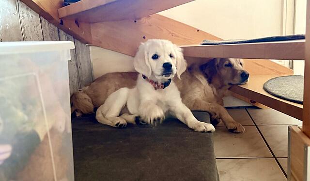 Klicke auf die Grafik für eine vergrößerte Ansicht

Name: IMG_9892.jpg
Ansichten: 0
Größe: 57,8 KB
ID: 1199426