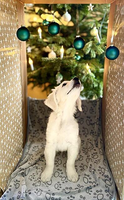 Klicke auf die Grafik für eine vergrößerte Ansicht

Name: IMG_9900.jpg
Ansichten: 0
Größe: 119,0 KB
ID: 1199428