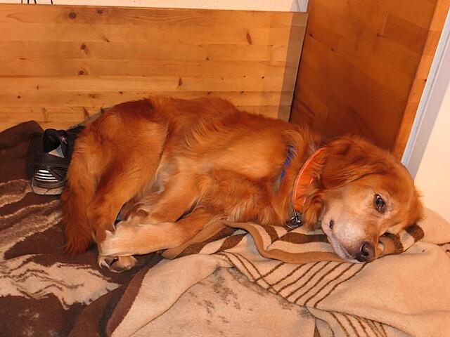 Klicke auf die Grafik für eine vergrößerte Ansicht

Name: P1041923.jpg
Ansichten: 0
Größe: 83,0 KB
ID: 1199860