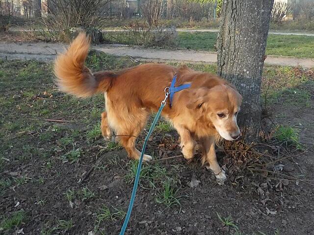 Klicke auf die Grafik für eine vergrößerte Ansicht

Name: P1040399.jpg
Ansichten: 0
Größe: 161,9 KB
ID: 1199861