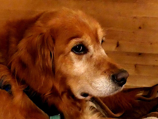 Klicke auf die Grafik für eine vergrößerte Ansicht

Name: Px1041910.jpg
Ansichten: 0
Größe: 111,3 KB
ID: 1199863