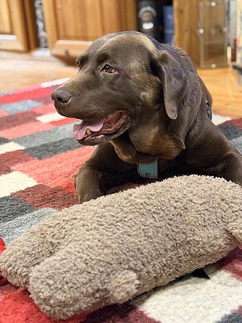 Klicke auf die Grafik für eine vergrößerte Ansicht

Name: IMG_3283.jpg
Ansichten: 0
Größe: 107,4 KB
ID: 1199886