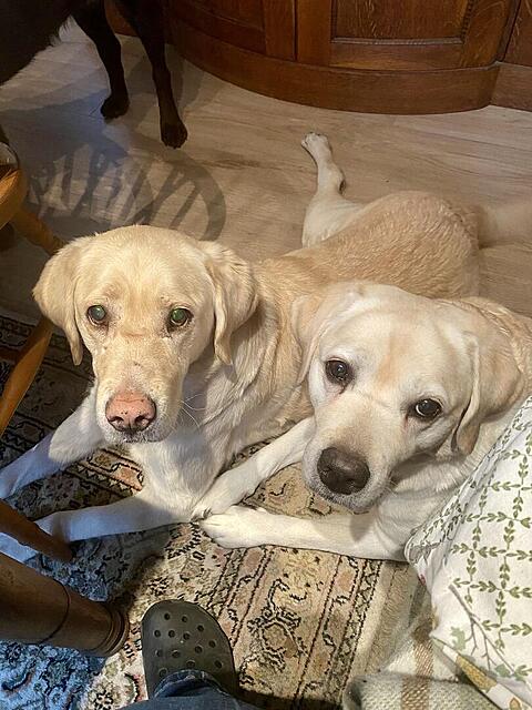 Klicke auf die Grafik für eine vergrößerte Ansicht

Name: cbb6e448-fe5b-40af-8d8b-d6f8a2029979.jpg
Ansichten: 0
Größe: 132,9 KB
ID: 1200262