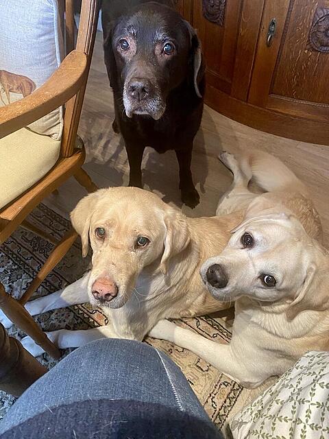 Klicke auf die Grafik für eine vergrößerte Ansicht

Name: 192525d9-c4c6-4bbe-bf90-4f5166152110.jpg
Ansichten: 0
Größe: 136,0 KB
ID: 1200263