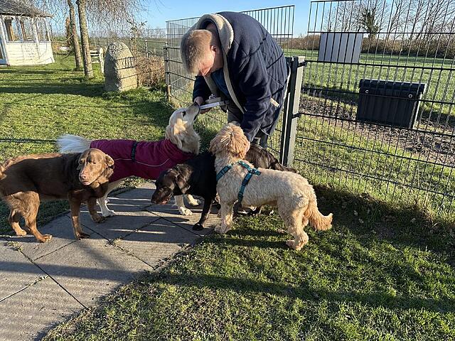 Klicke auf die Grafik für eine vergrößerte Ansicht  Name: IMG_0531.jpg Ansichten: 49 Größe: 278,4 KB ID: 1203866