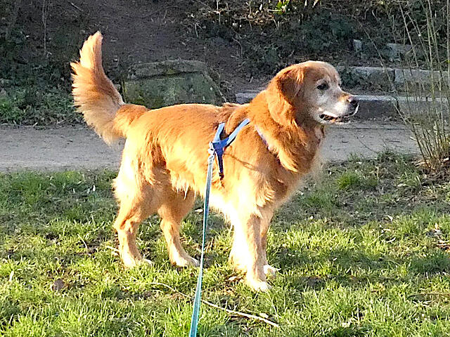 Klicke auf die Grafik für eine vergrößerte Ansicht

Name: Px1040402a.jpg
Ansichten: 0
Größe: 237,1 KB
ID: 1200378