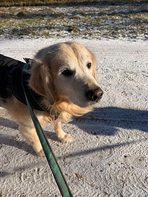 Klicke auf die Grafik für eine vergrößerte Ansicht

Name: 563969cc-e8ac-4072-997c-57219c736da3.jpg
Ansichten: 0
Größe: 145,8 KB
ID: 1200420