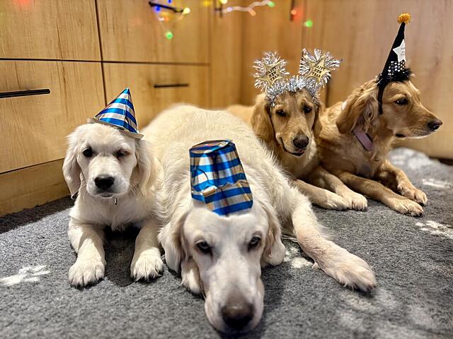 Klicke auf die Grafik für eine vergrößerte Ansicht

Name: IMG_1192.jpg
Ansichten: 0
Größe: 119,3 KB
ID: 1200488