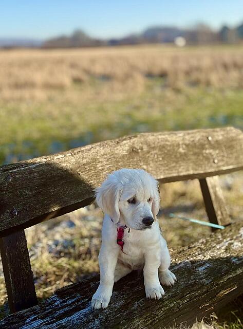 Klicke auf die Grafik für eine vergrößerte Ansicht

Name: IMG_0091.jpg
Ansichten: 0
Größe: 93,1 KB
ID: 1200491