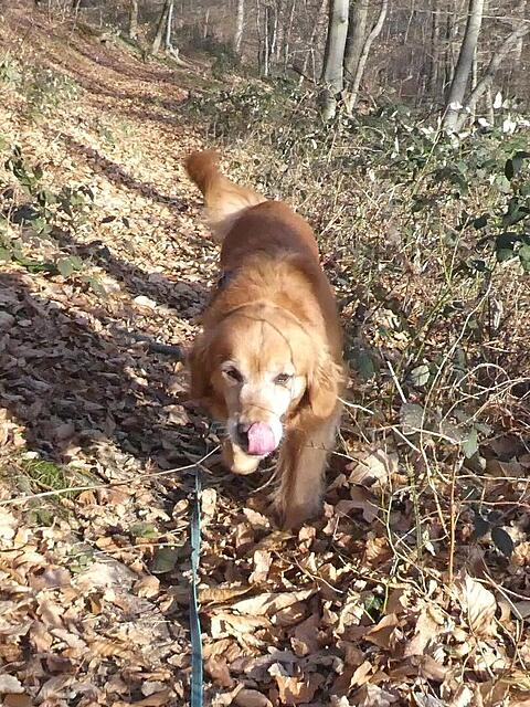 Klicke auf die Grafik für eine vergrößerte Ansicht

Name: 2025-12-27_154404(2).jpg
Ansichten: 0
Größe: 223,7 KB
ID: 1200554