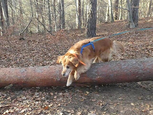 Klicke auf die Grafik für eine vergrößerte Ansicht

Name: 2025-12-27_155946(3).jpg
Ansichten: 0
Größe: 176,7 KB
ID: 1200555