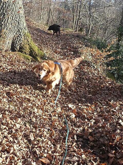 Klicke auf die Grafik für eine vergrößerte Ansicht

Name: 2025-12-27_154208(6).jpg
Ansichten: 0
Größe: 266,8 KB
ID: 1200557