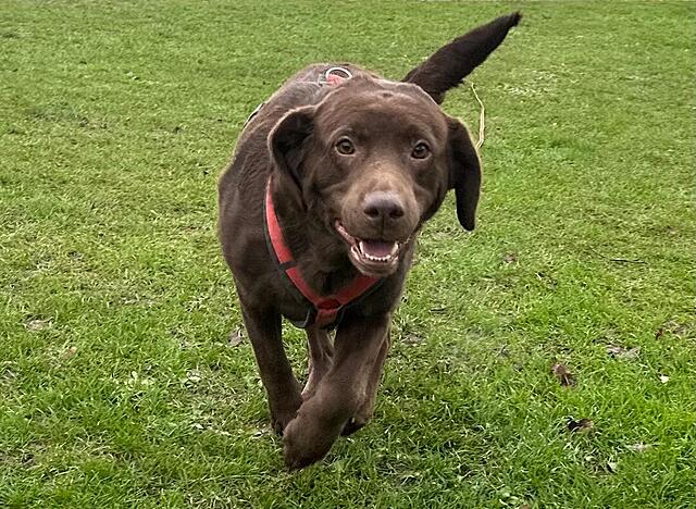 Klicke auf die Grafik für eine vergrößerte Ansicht  Name: 41e79d29-54d7-47cd-823d-efd14667af29.jpg Ansichten: 0 Größe: 186,1 KB ID: 1201194