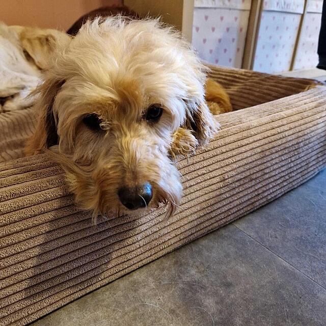 Klicke auf die Grafik für eine vergrößerte Ansicht  Name: IMG-20260103-WA0004[1].jpg Ansichten: 0 Größe: 187,1 KB ID: 1200588