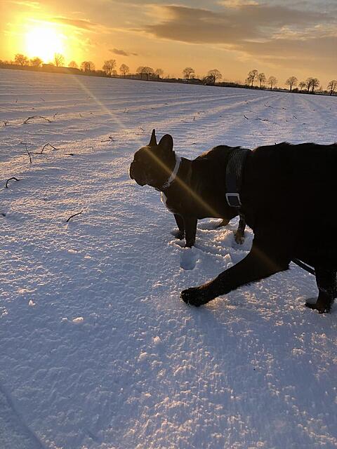 Klicke auf die Grafik für eine vergrößerte Ansicht  Name: IMG_8810.jpg Ansichten: 0 Größe: 115,8 KB ID: 1200724