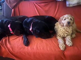 Klicke auf die Grafik für eine vergrößerte Ansicht  Name: 4142f774-04c2-4164-8eed-760dc7a18b8e.jpg Ansichten: 0 Größe: 75,7 KB ID: 1201003