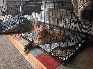 Klicke auf die Grafik für eine vergrößerte Ansicht  Name: 05eb5710-e623-4690-96d6-e7060927d032.jpg Ansichten: 0 Größe: 177,1 KB ID: 1201004