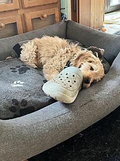 Klicke auf die Grafik für eine vergrößerte Ansicht  Name: IMG_5695.jpg Ansichten: 0 Größe: 174,9 KB ID: 1201005