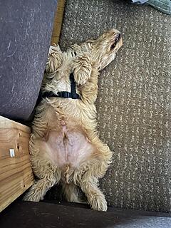 Klicke auf die Grafik für eine vergrößerte Ansicht  Name: IMG_5705.jpg Ansichten: 0 Größe: 191,2 KB ID: 1201006