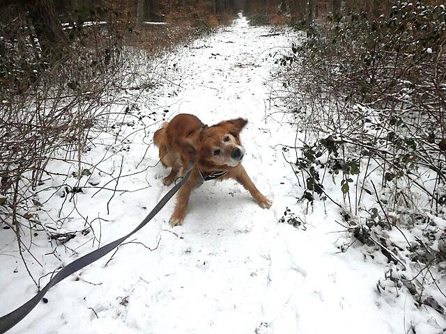 Klicke auf die Grafik für eine vergrößerte Ansicht  Name: P1040533x.jpg Ansichten: 0 Größe: 189,9 KB ID: 1201092