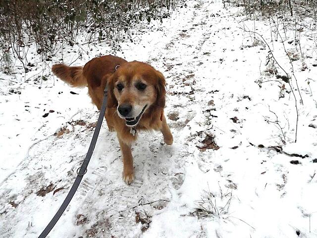 Klicke auf die Grafik für eine vergrößerte Ansicht  Name: P1040543x.jpg Ansichten: 0 Größe: 169,0 KB ID: 1201094