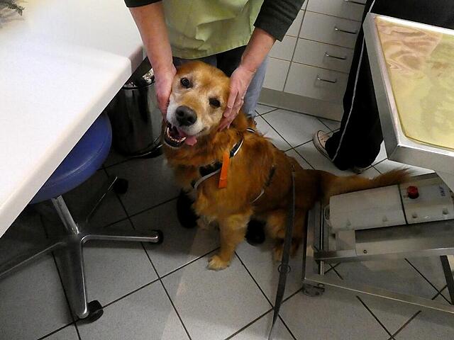 Klicke auf die Grafik für eine vergrößerte Ansicht  Name: P1040545x.jpg Ansichten: 0 Größe: 82,1 KB ID: 1201093