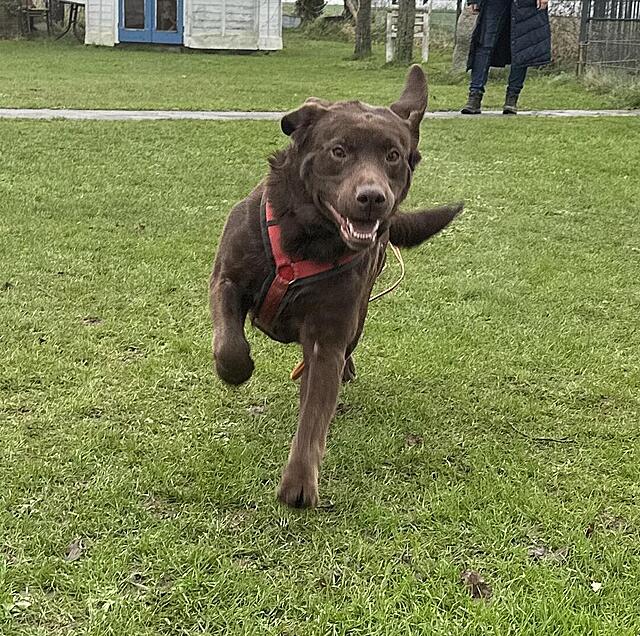 Klicke auf die Grafik für eine vergrößerte Ansicht  Name: IMG_0749.jpg Ansichten: 0 Größe: 280,4 KB ID: 1201663