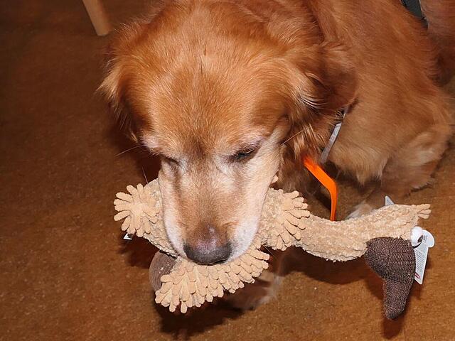 Klicke auf die Grafik für eine vergrößerte Ansicht

Name: P1041950.jpg
Ansichten: 0
Größe: 103,7 KB
ID: 1201356