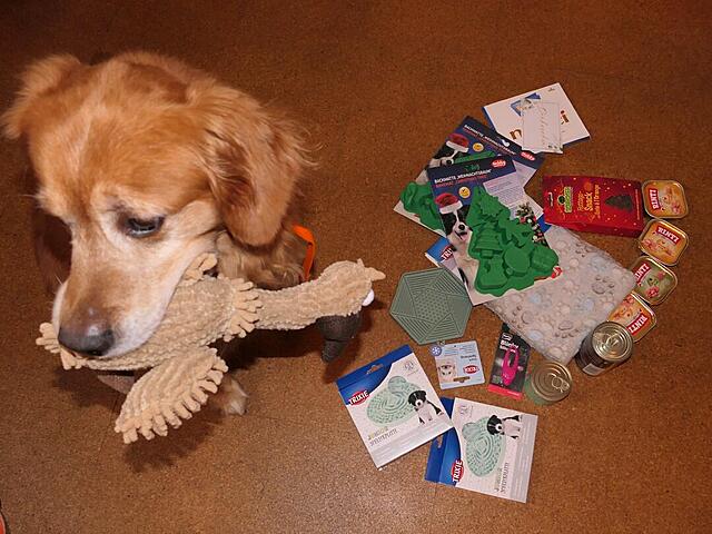 Klicke auf die Grafik für eine vergrößerte Ansicht

Name: P1041960.jpg
Ansichten: 0
Größe: 121,0 KB
ID: 1201360