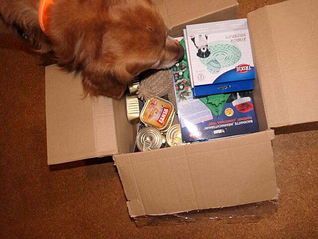 Klicke auf die Grafik für eine vergrößerte Ansicht

Name: P1041943.jpg
Ansichten: 0
Größe: 85,7 KB
ID: 1201359