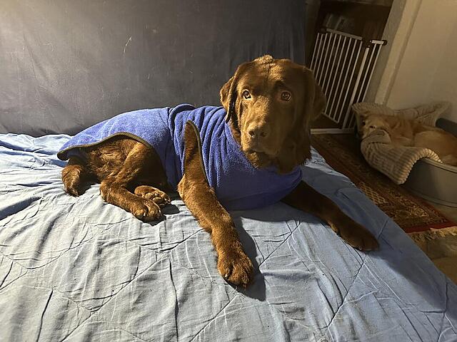 Klicke auf die Grafik für eine vergrößerte Ansicht  Name: IMG_0793.jpg Ansichten: 0 Größe: 130,5 KB ID: 1201665