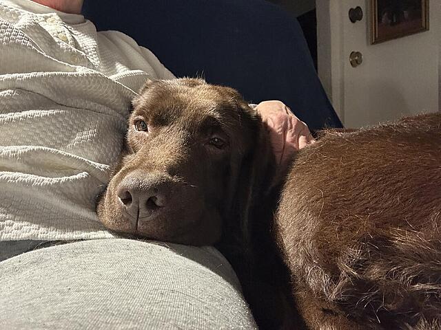 Klicke auf die Grafik für eine vergrößerte Ansicht  Name: IMG_0795.jpg Ansichten: 0 Größe: 136,2 KB ID: 1201667