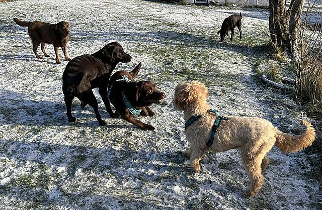 Klicke auf die Grafik für eine vergrößerte Ansicht

Name: IMG_0991.jpg
Ansichten: 397
Größe: 260,6 KB
ID: 1202101