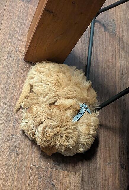 Klicke auf die Grafik für eine vergrößerte Ansicht  Name: PXL_20260110_140015215.jpg Ansichten: 0 Größe: 135,4 KB ID: 1201635