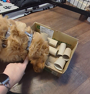 Klicke auf die Grafik für eine vergrößerte Ansicht  Name: Screenshot_20260108-115138.png Ansichten: 0 Größe: 1,31 MB ID: 1201636