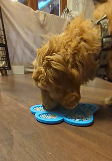 Klicke auf die Grafik für eine vergrößerte Ansicht  Name: Screenshot_20260112-082240.png Ansichten: 0 Größe: 911,6 KB ID: 1201637