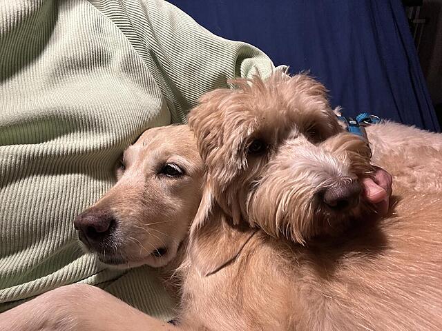 Klicke auf die Grafik für eine vergrößerte Ansicht  Name: IMG_9480.jpg Ansichten: 0 Größe: 156,9 KB ID: 1201653