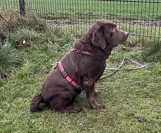 Klicke auf die Grafik für eine vergrößerte Ansicht  Name: IMG_0705 Vergrößerung.jpg Ansichten: 0 Größe: 207,0 KB ID: 1201664