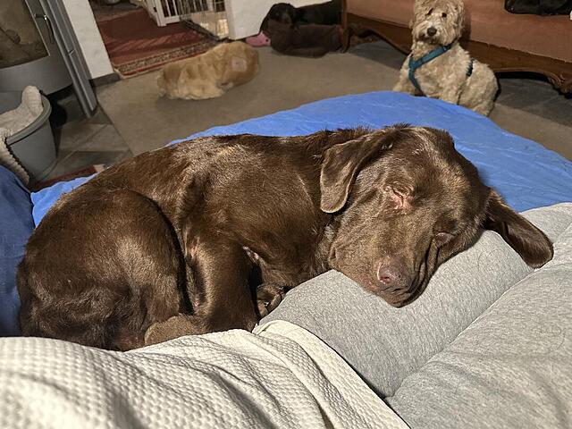 Klicke auf die Grafik für eine vergrößerte Ansicht  Name: IMG_0814.jpg Ansichten: 0 Größe: 139,9 KB ID: 1201666