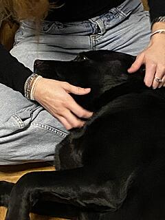 Klicke auf die Grafik für eine vergrößerte Ansicht  Name: IMG_3044.jpg Ansichten: 0 Größe: 96,3 KB ID: 1202112