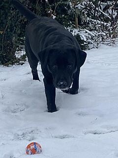 Klicke auf die Grafik für eine vergrößerte Ansicht  Name: IMG_3005.jpg Ansichten: 0 Größe: 94,9 KB ID: 1202113