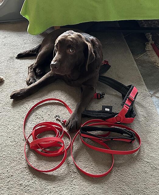 Klicke auf die Grafik für eine vergrößerte Ansicht

Name: IMG_1441.jpg
Ansichten: 658
Größe: 210,5 KB
ID: 1202009