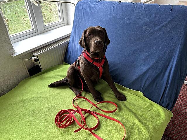 Klicke auf die Grafik für eine vergrößerte Ansicht

Name: IMG_1445.jpg
Ansichten: 564
Größe: 170,5 KB
ID: 1202012