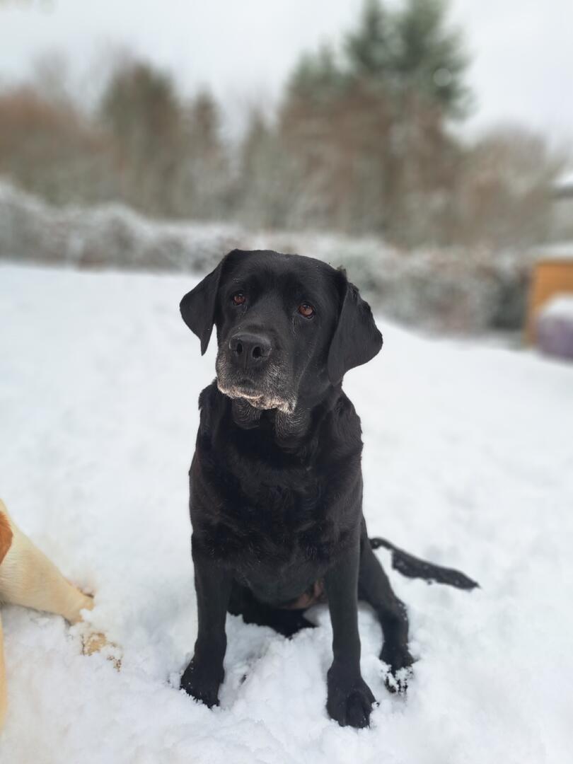 Klicke auf die Grafik für eine vergrößerte Ansicht  Name: 20260102_151126.jpg Ansichten: 0 Größe: 47,5 KB ID: 1201857