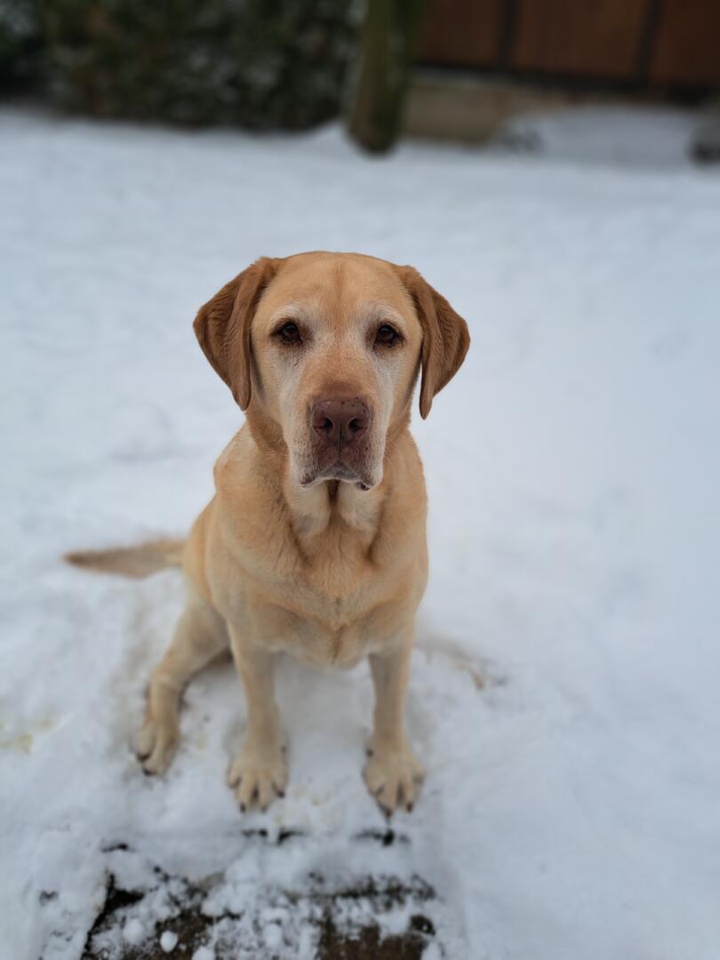 Klicke auf die Grafik für eine vergrößerte Ansicht  Name: 20260102_150959.jpg Ansichten: 0 Größe: 45,5 KB ID: 1201858