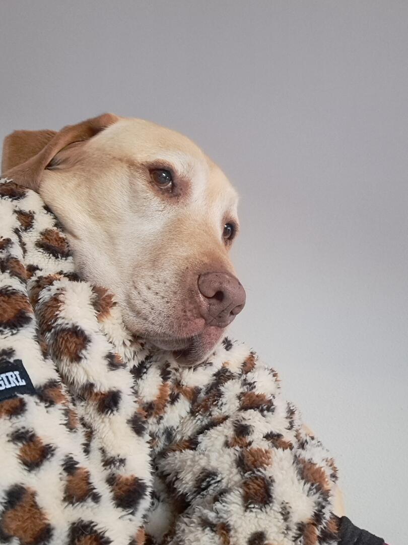 Klicke auf die Grafik für eine vergrößerte Ansicht  Name: 20251230_155641.jpg Ansichten: 0 Größe: 93,1 KB ID: 1201859